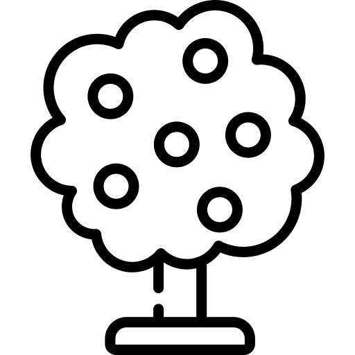 Orange tree nature orange tree botanical icon