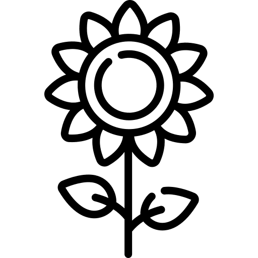 Sunflower botanical sunflower flower icon