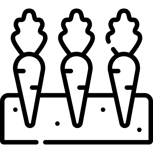 Carrots vegan healthy food diet icon