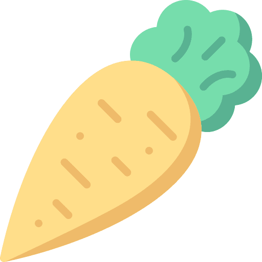 Carrot healthy food carrot organic icon