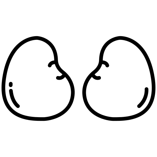 Meat food and restaurant kidney meat icon