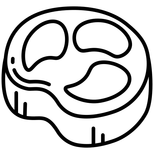 Meat meat grilled food icon