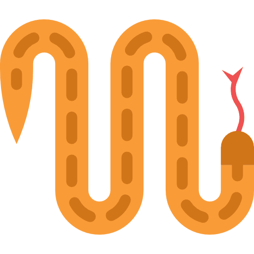 Snake wild life zoo animal kingdom icon