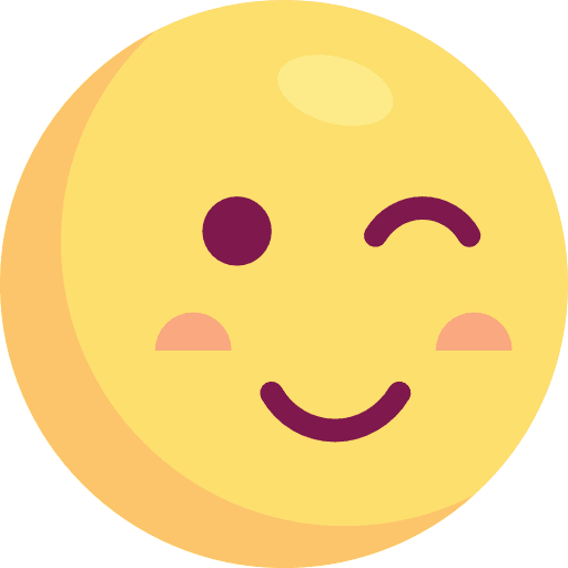 Wink wink smileys emoji icon