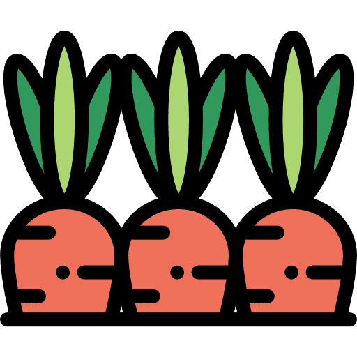Carrots organic carrot carrots icon