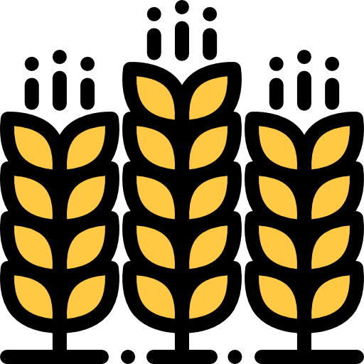 Cereals farming and gardening wheat healthy food icon