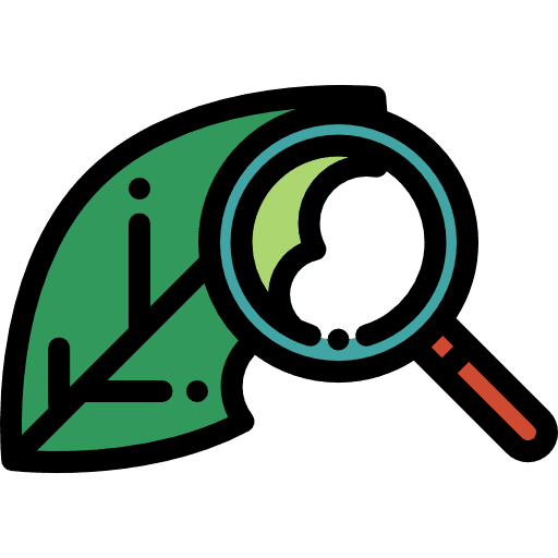 Leaf plant leaf botanical icon