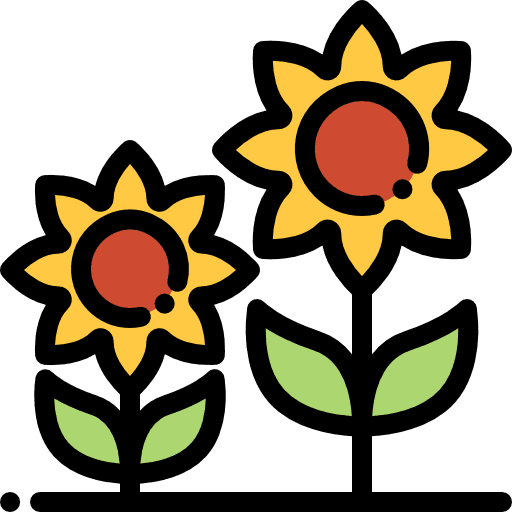 Sunflower botanical nature farming and gardening icon