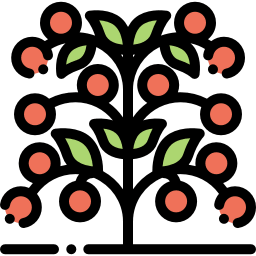 Tomato food food and restaurant tomato icon