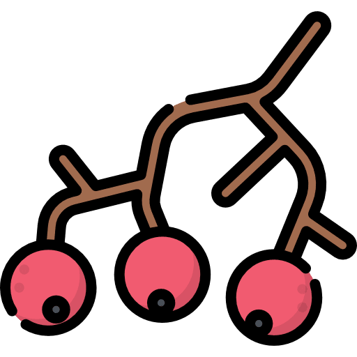 Berries berries food fruit icon