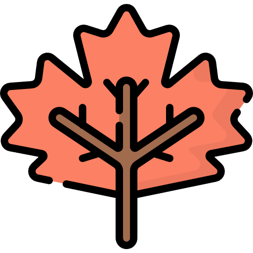 Maple leaf leaf nature botanical icon