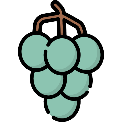 Grapes fruit fruits berries icon