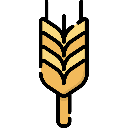 Wheat nature grains food and restaurant icon