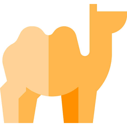 Camel animals animal kingdom wild life icon