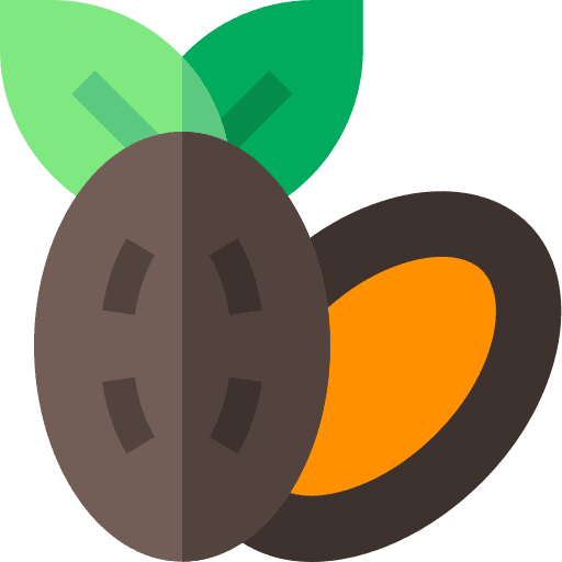 Dates healthy food diet date icon