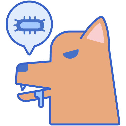 Rabies virus transmission wild rabies icon