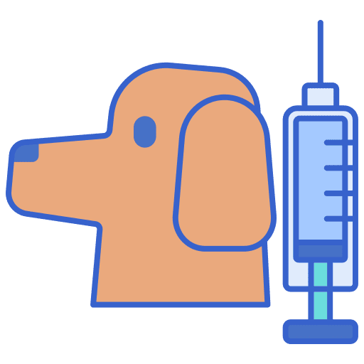 Animal vaccination veterinarian animal vaccination pets icon