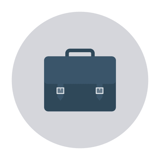 Portfolio professional business and finance suitcase icon