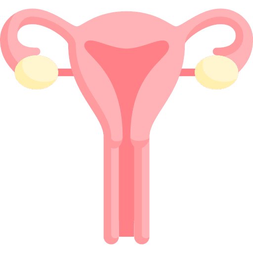 Womb anatomy healthcare and medical uterus icon