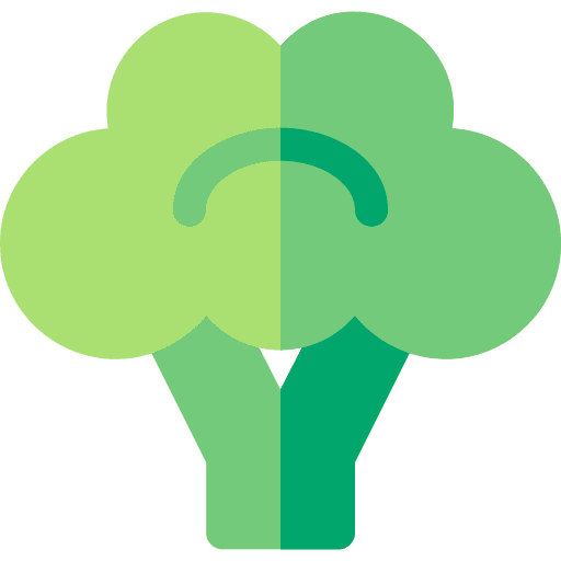 Broccoli food nutrition diet icon