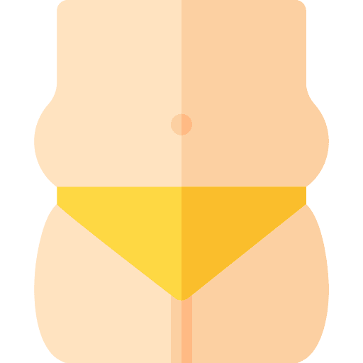 Body medical obesity fat icon
