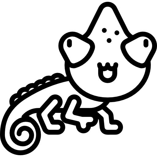 Chameleon animal kingdom animal wild life icon