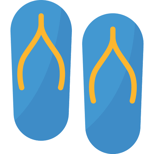 Flip flops shoes slipper fashion icon