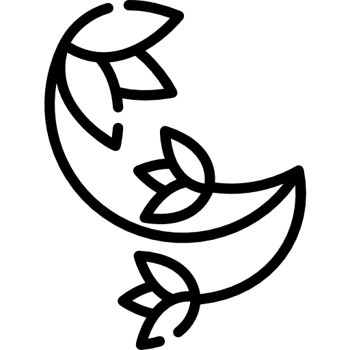 Floral design floral flower curves design icon