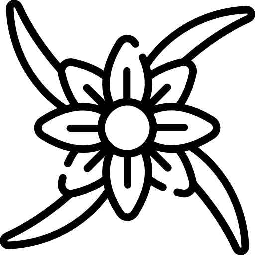 Floral design floral flower design design icon