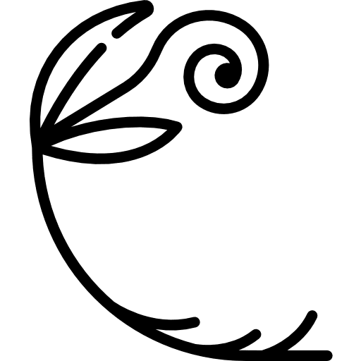 Floral design flower design design flower curves icon