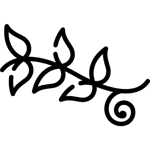 Floral design nature flower curves design icon