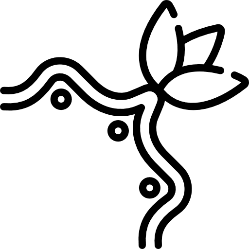 Floral design floral design flower curves nature icon