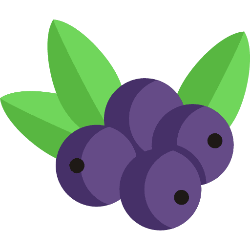 Berry food food and restaurant berries icon