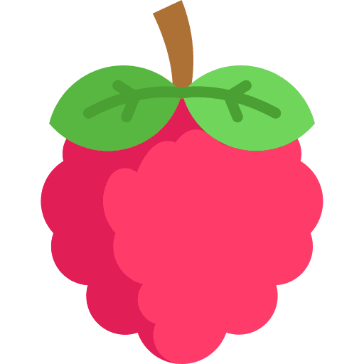 Raspberries raspberries vegetable food icon