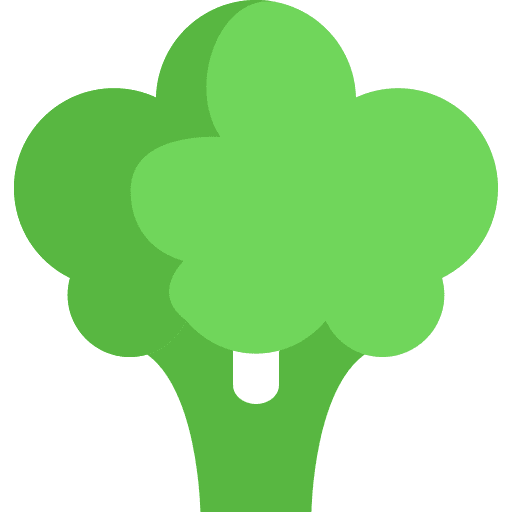 Broccoli healthy food broccoli vegetarian icon