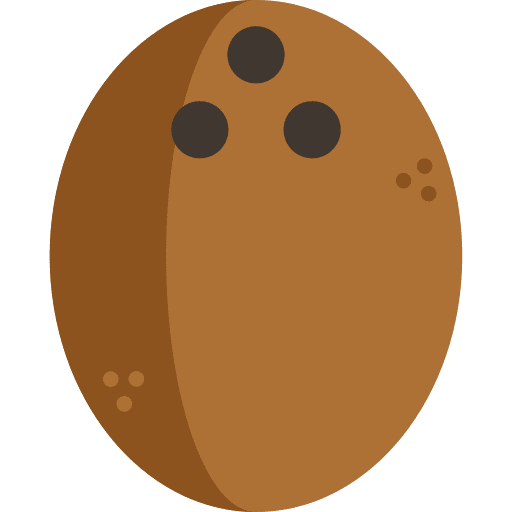 Coconut vegan fruit natural icon
