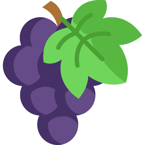 Grape grapes fruit grape icon