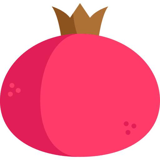 Grenade organic healthy food food icon