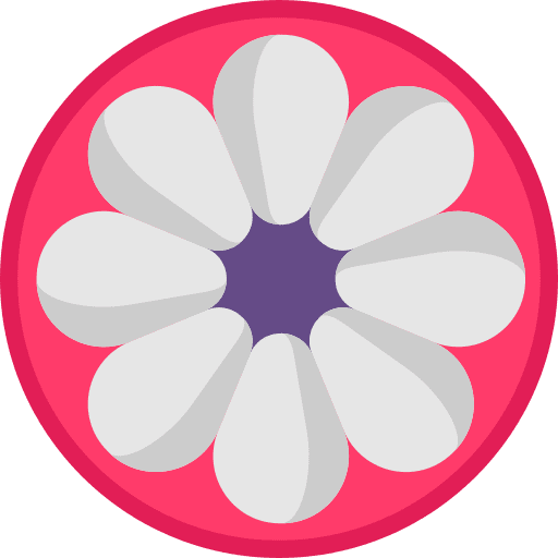 Mangosteen food and restaurant diet vegan icon