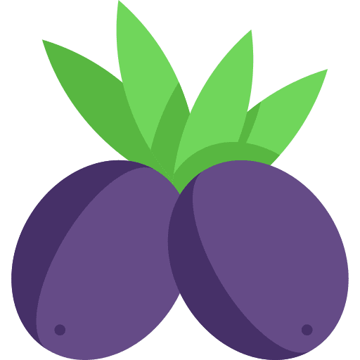 Olives food organic healthy food icon