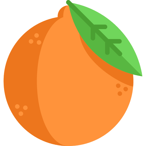Orange orange food and restaurant food icon