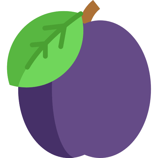 Plum food and restaurant diet food icon