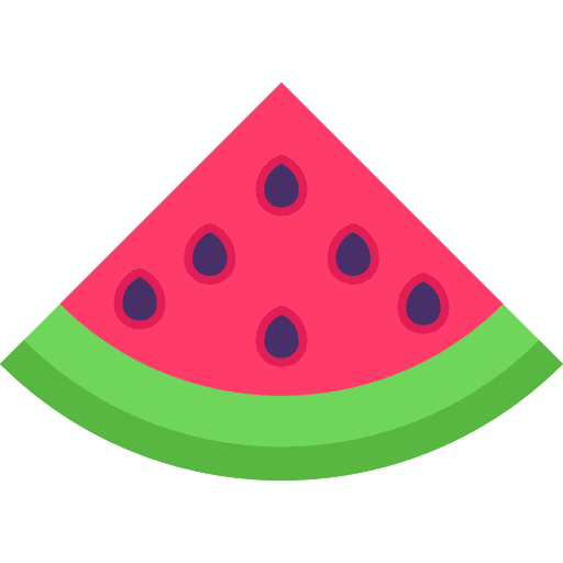 Watermelon diet vegan food icon