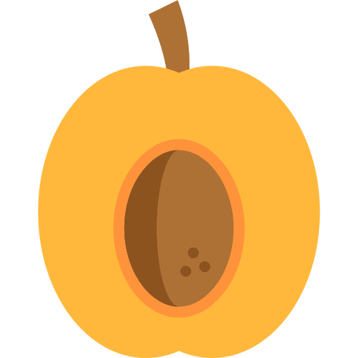 Apricot apricot food diet icon