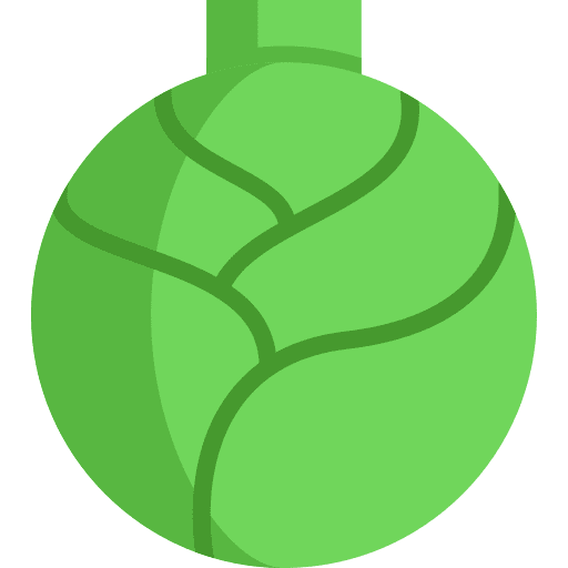 Cabbage food and restaurant organic fruit icon