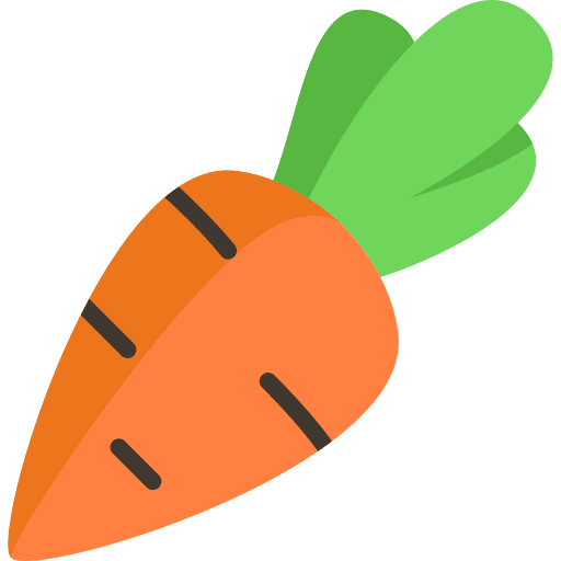 Carrot carrot vegetable organic icon