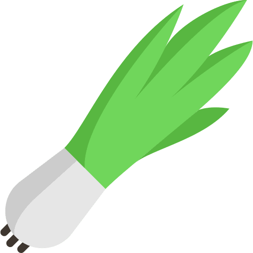 Onion diet nature vegan icon