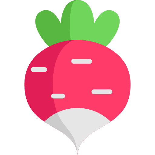 Radish vegan vegetarian food icon
