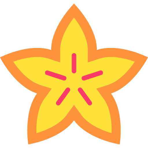 Carambola diet vegetarian food icon