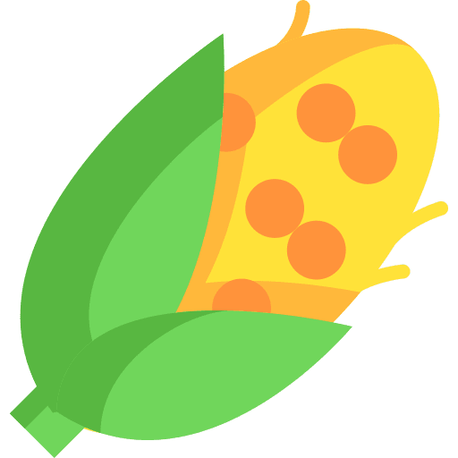 Corn organic healthy food vegetarian icon